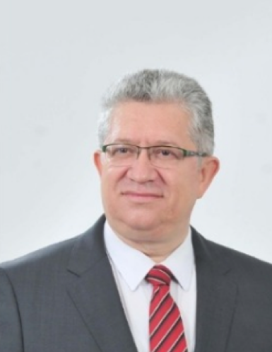 Mehmet Kemal DEMİRKIRKAN